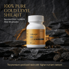Shilajit Extract 550mg with Ashwagandha for Men and Women Energy Stamina Vitality Support 60 Capsules