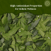 Pride of India |Natural Neem/Margosa Herb Whole Leaf 3.53 oz (100 gm) | Add to Tea, Dip, Juice & Smoothies | Vegan, No Caffeine, No Gluten